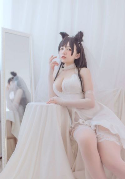 宰豪